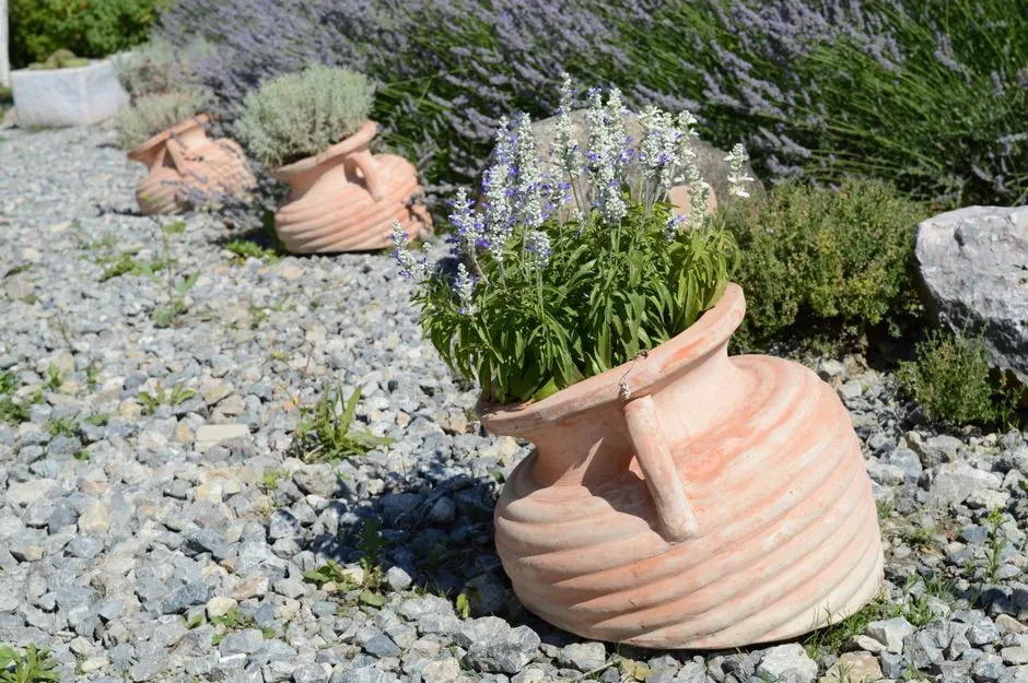 Jardin mediterraneen ensoleille