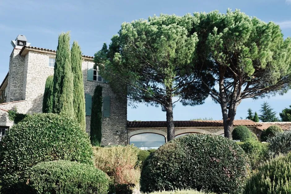 Jardin de Provence remis en etat